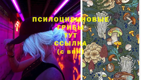 jwh Дмитровск