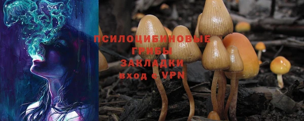 дживик Дмитров